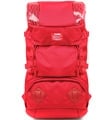 Deluxe 43L Backpack RD