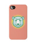 JAY BEAR