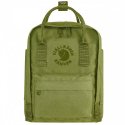 칸켄(KANKEN) [1+1] 피엘라벤 리칸켄 미니 Re-Kanken Mini (23549) - SP.R.Ing Green