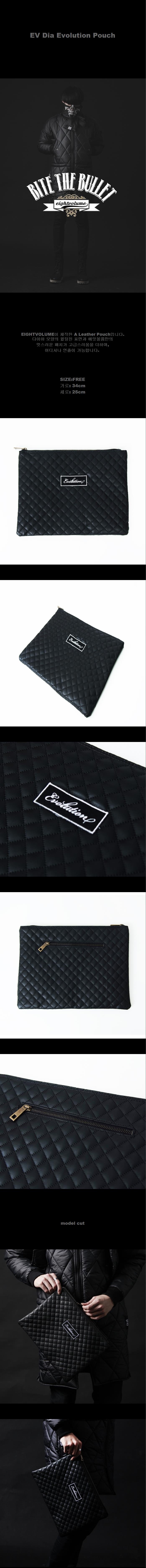 에잇볼륨(EIGHTVOLUME) EV Dia Evolution Pouch