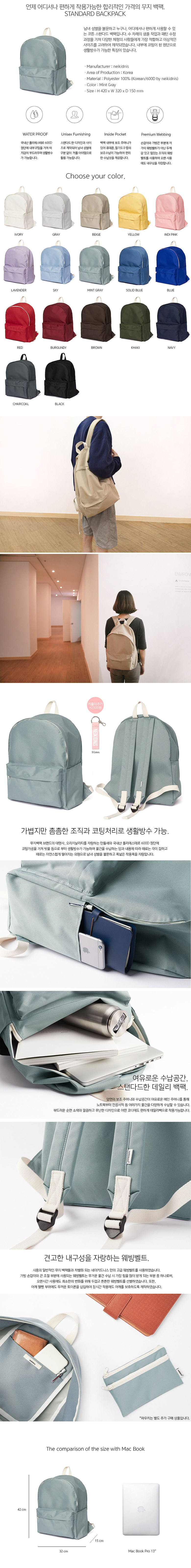 네이키드니스(NEIKIDNIS) 스탠다드 백팩 / 민트그레이