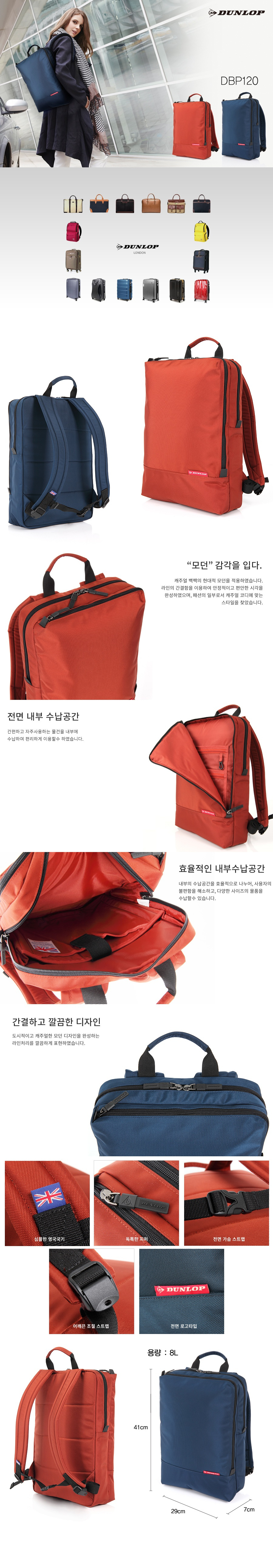 던롭(DUNLOP) [DUNLOP] DBP120 NA