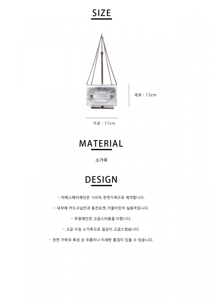 피에스메리제인(PSMARYJANE) 다나백 베이직 실버