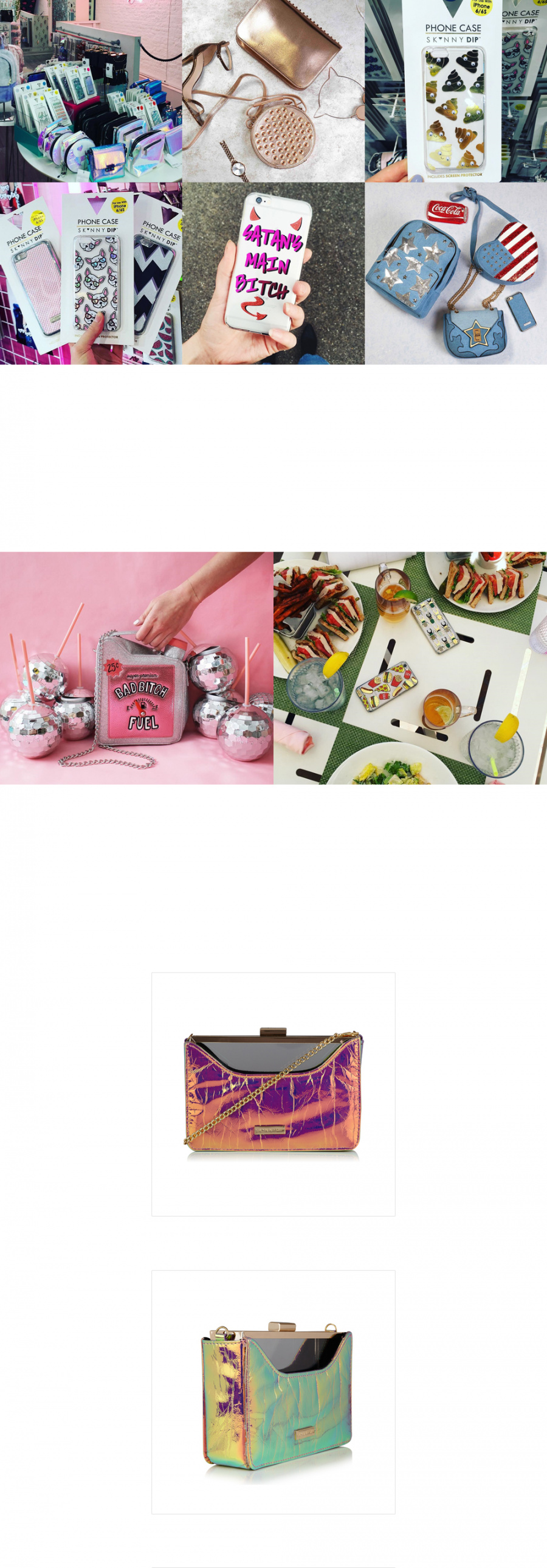 스키니딥(SKINNY DIP) BEETLE RITA CLUTCH BAG