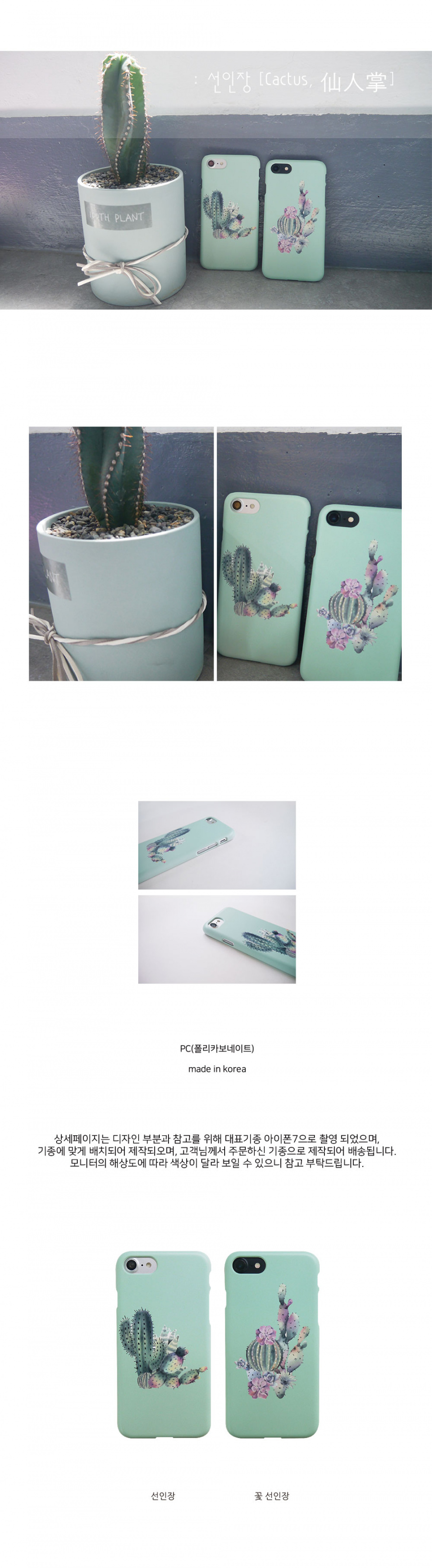 앤버튼(ANDBUTTON) 선인장