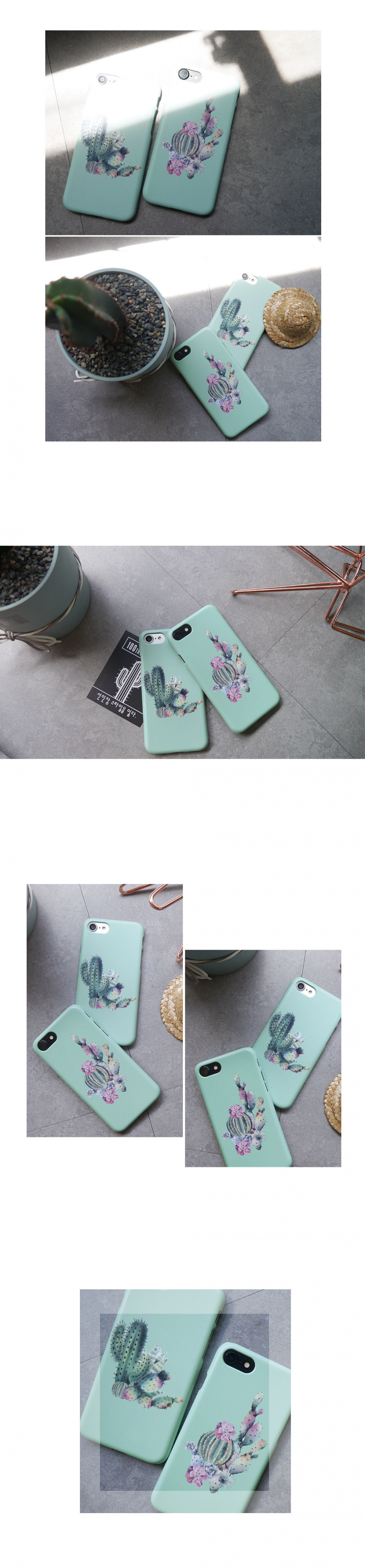 앤버튼(ANDBUTTON) 선인장