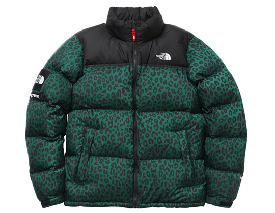 Supreme north face on sale 2011