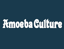 아메바컬쳐(Amoeba Culture)의 10주년, 축제가 시작된다!