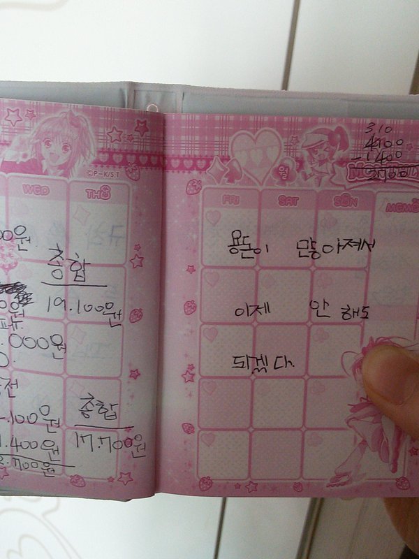 동생의 용돈기입장