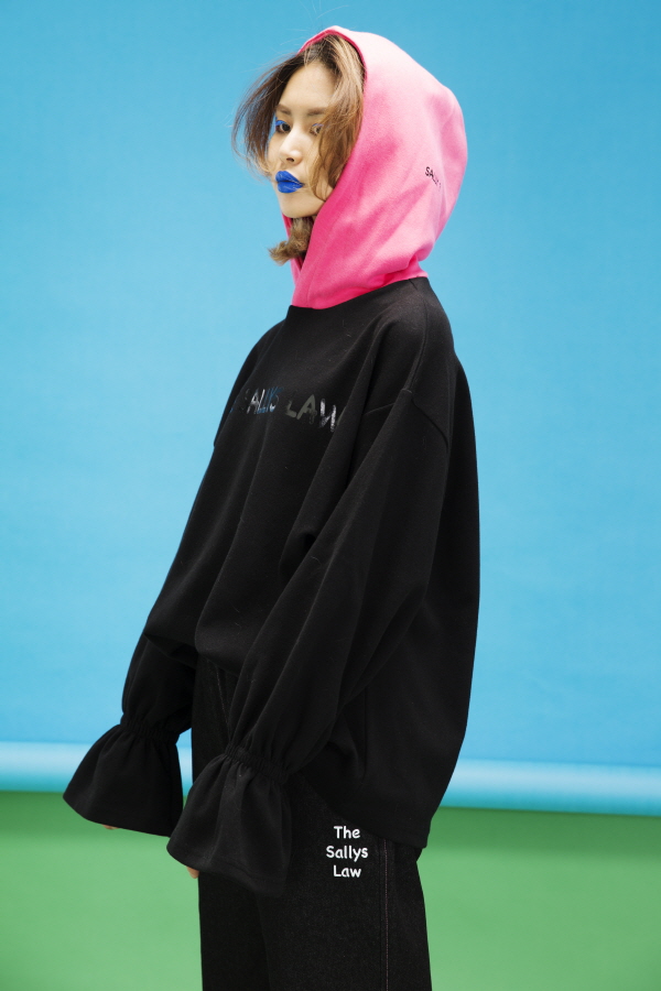 샐리스 이미지