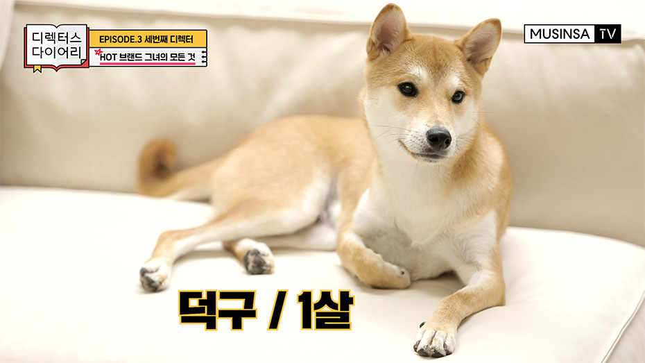 사무실 크기만 10배 키운 오아이오아이 정예슬 대표의 하루 사무실 크기만 10배 키운 오아이오아이 정예슬 대표의 하루