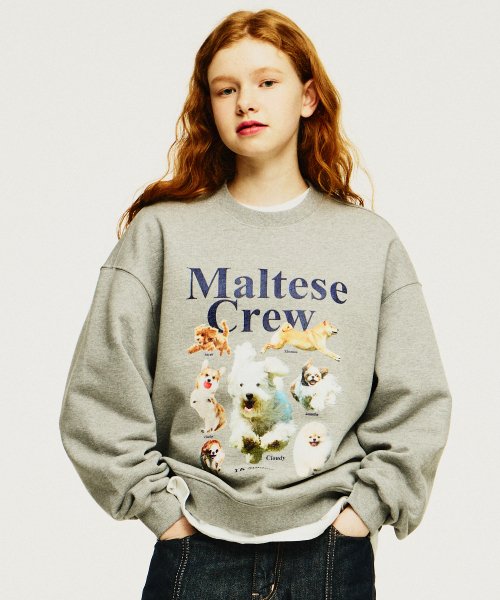 Maltese crew sweatshirts GREY