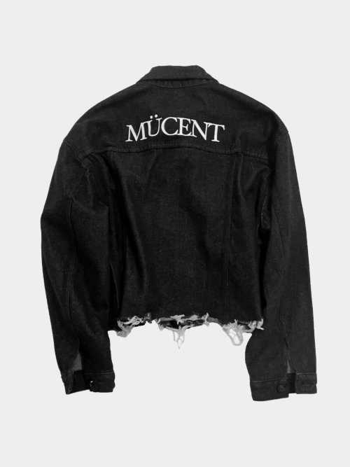CROP DAMAGE DENIM JACKET