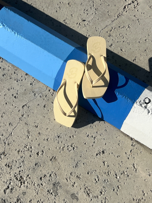 pudding flip flop 3color
