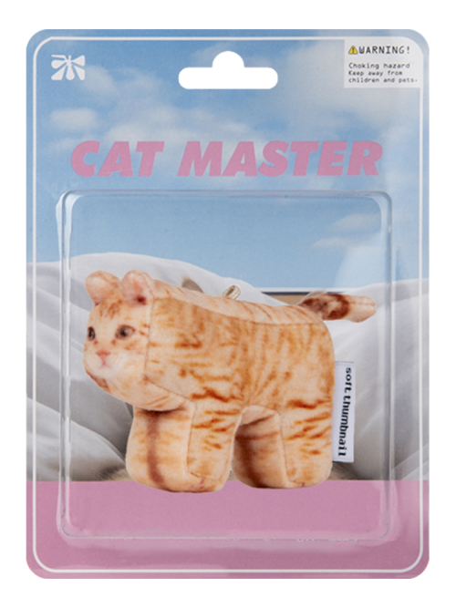 Cheese, Domestic Shorthair
