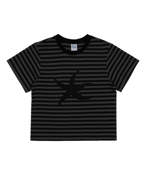 TCM starfish stripe T (black)