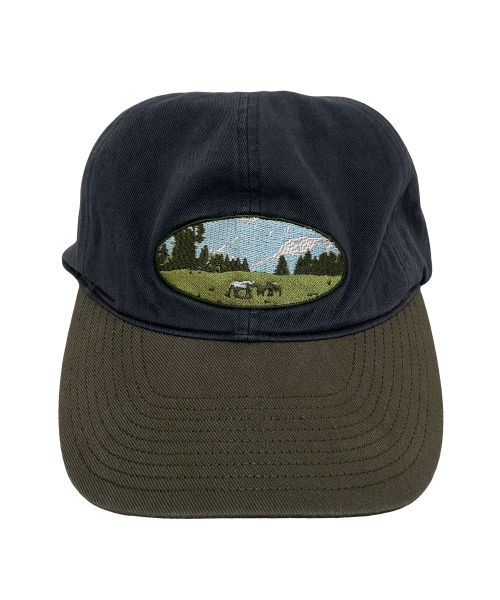 TCM filed cap (navy)