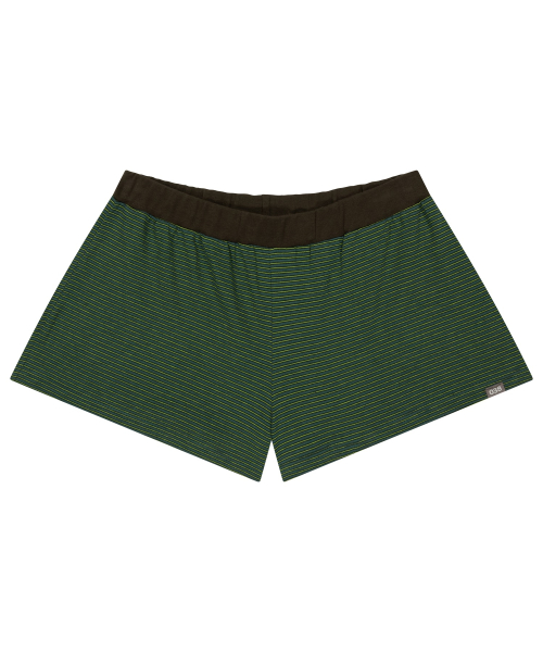 038 PINSTRIPE SHORTS GREEN