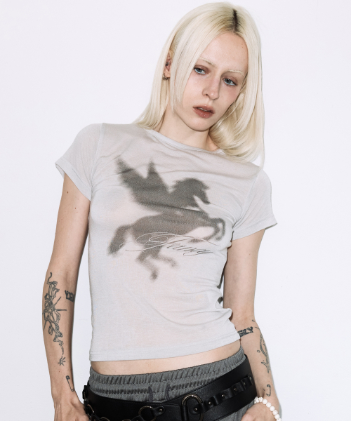 SHADOW PEGASUS TEE (GRAY) F26QB070