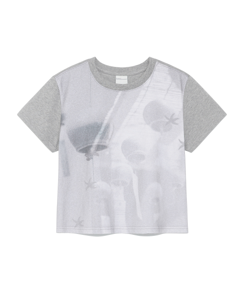 (w) TCM print crop T (melange grey)