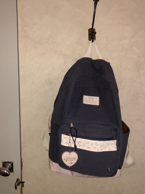 Bon voyage backpack_pink navy