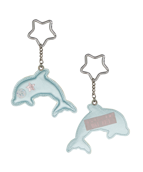 Dolphin Star Keyring