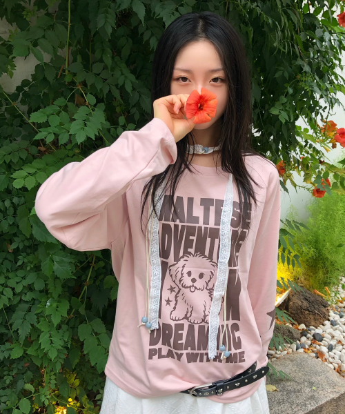Maltese Adventure Raglan Long Sleeve T-shirt PINK