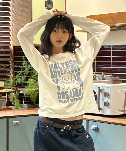 Maltese Adventure Raglan Long Sleeve T-shirt IVORY