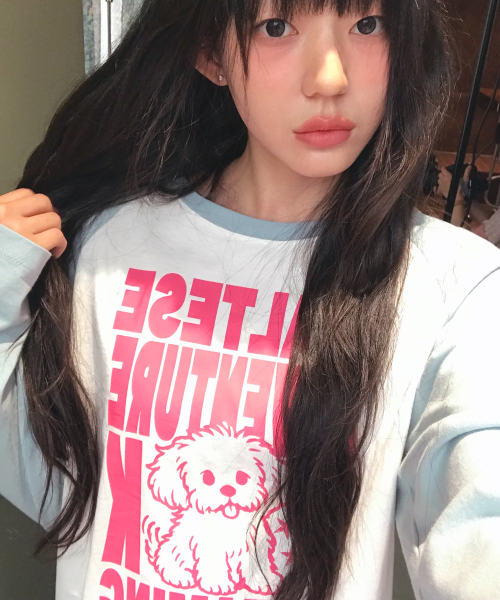 Maltese Adventure Raglan Long Sleeve T-shirt SKYBLUE