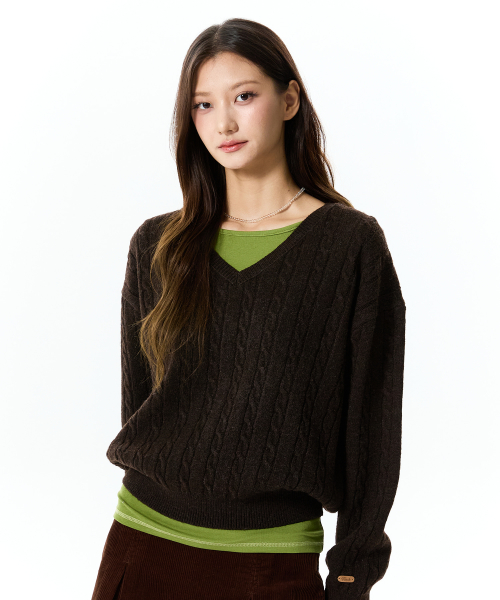 LABEL POINT V-NECK CABLE KNIT PULLOVER(BROWN)