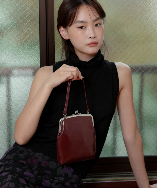 frame mini bag - burgundy