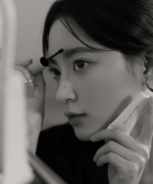 HAN ALL BROW FIXER