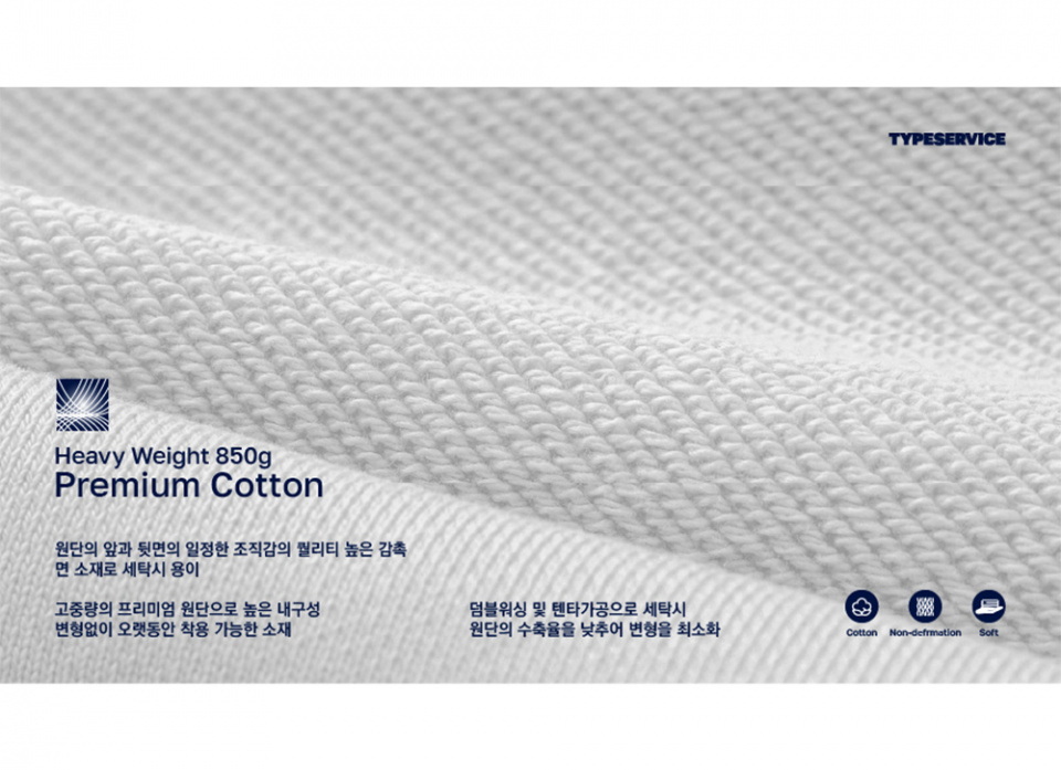 타입서비스(TYPE SERVICE) Premium Heavy Cotton Arch Logo Crop Sweatshirt [Navy]