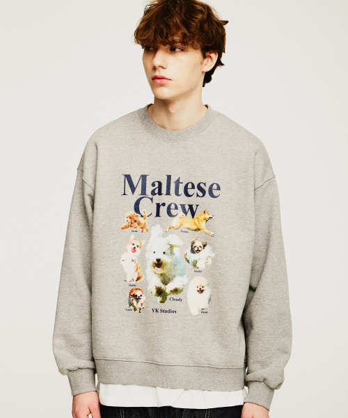 Maltese crew sweatshirts GREY
