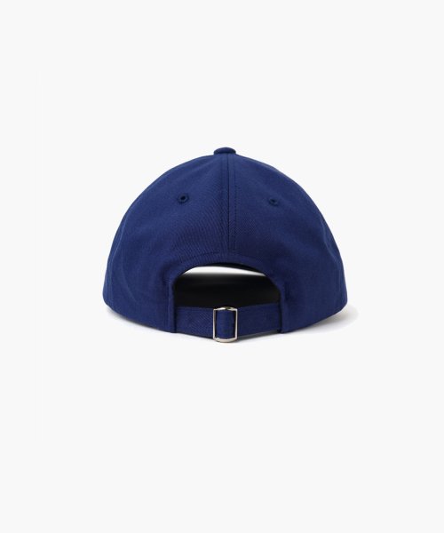 NATIVE FOREST ENOR BALL CAP - BLUE