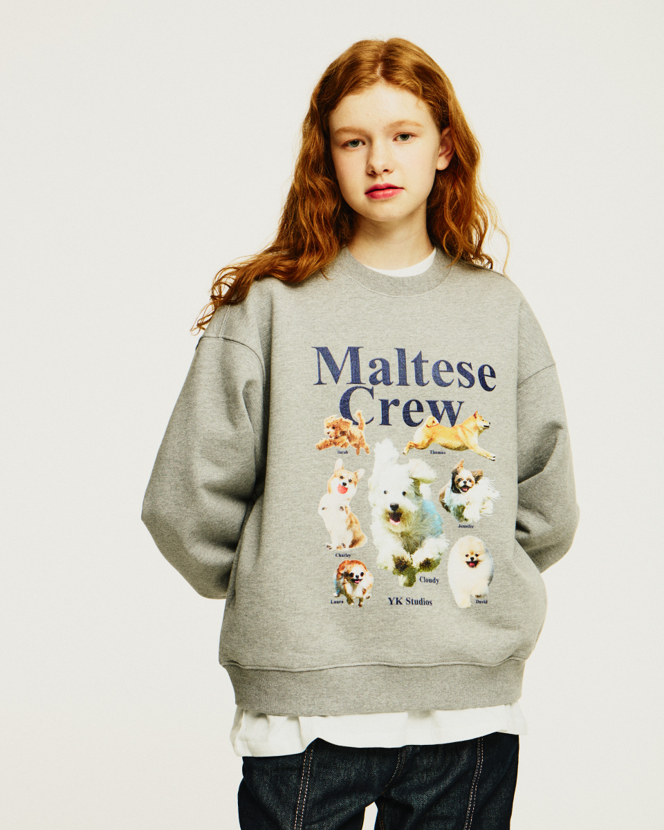 【Wai Kei】 Maltese Uniform sweatshirts/追跡付 MUSINSA | WAI KEI Maltese Crew Sweatshirt Gray