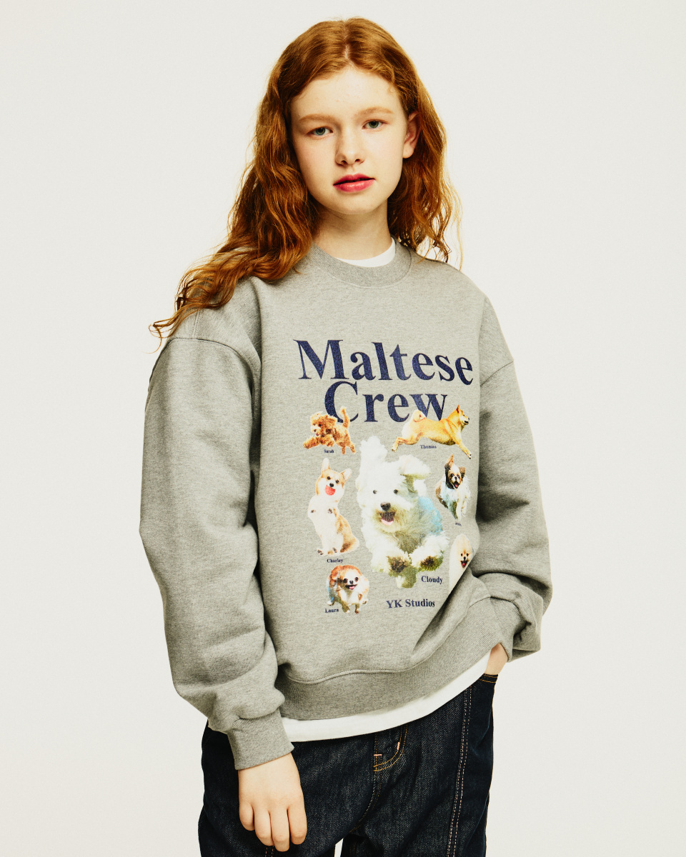スウェット・トレーナー Wai Kei Maltese Cloud Raglan Sweatshirt BSA160 Wai Kei Maltese Cloud Raglan Sweatshirt BSA160 (Wai Kei