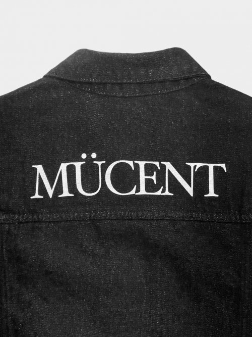 CROP DAMAGE DENIM JACKET