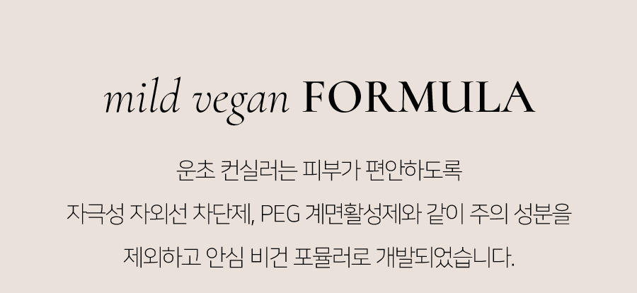 딘토(DINTO) [운초] 라이트베일 컨실러 3종