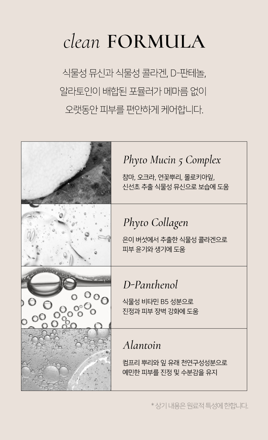 딘토(DINTO) [운초] 라이트베일 컨실러 3종