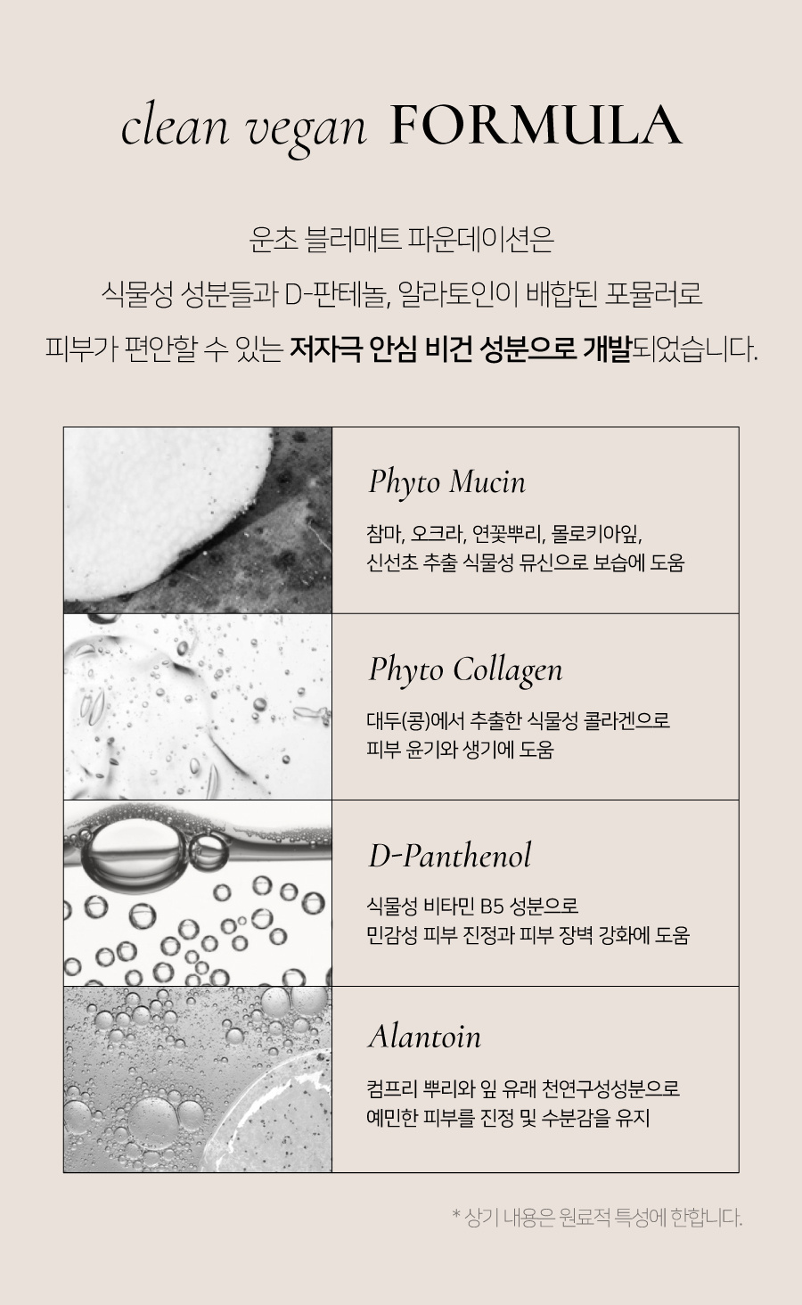 딘토(DINTO) [운초] 블러매트 파운데이션 2종