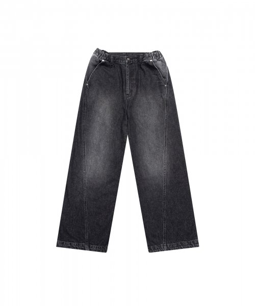 Paneled Denim Pants (Black)