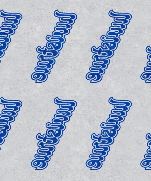 BE LOGO BEACH TOWEL(BLUE)