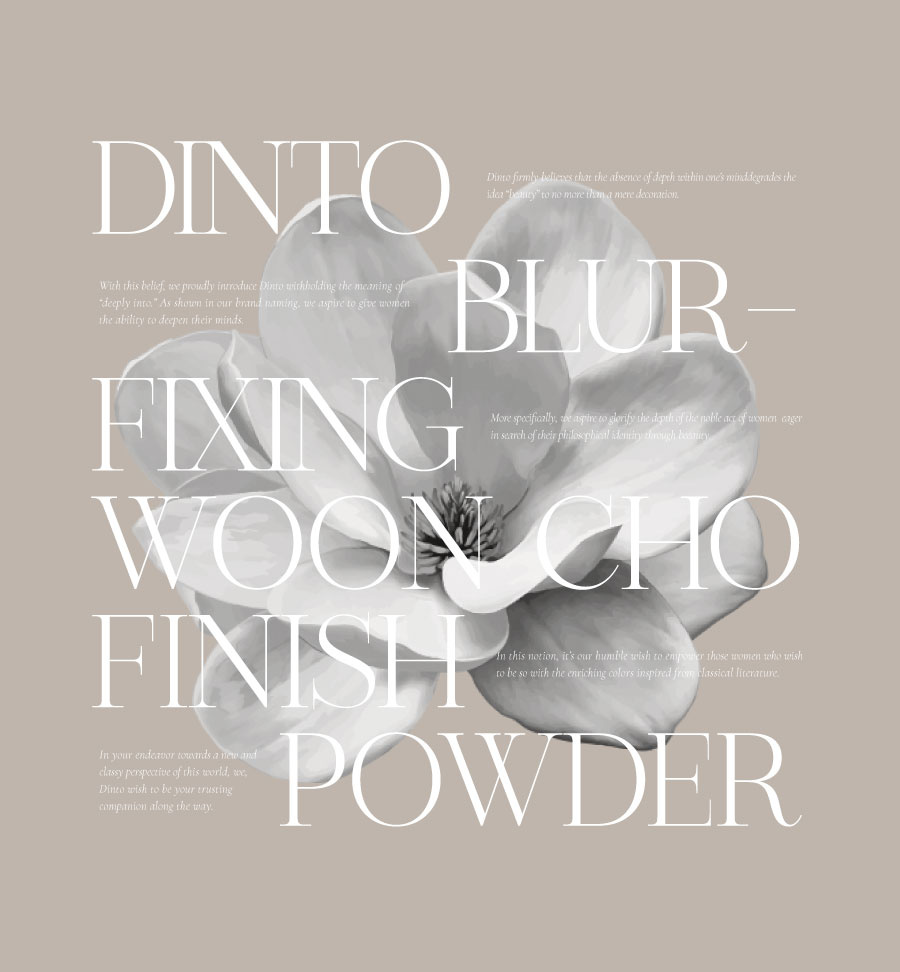 딘토(DINTO) 운초 블러픽싱 피니쉬 파우더 팩트