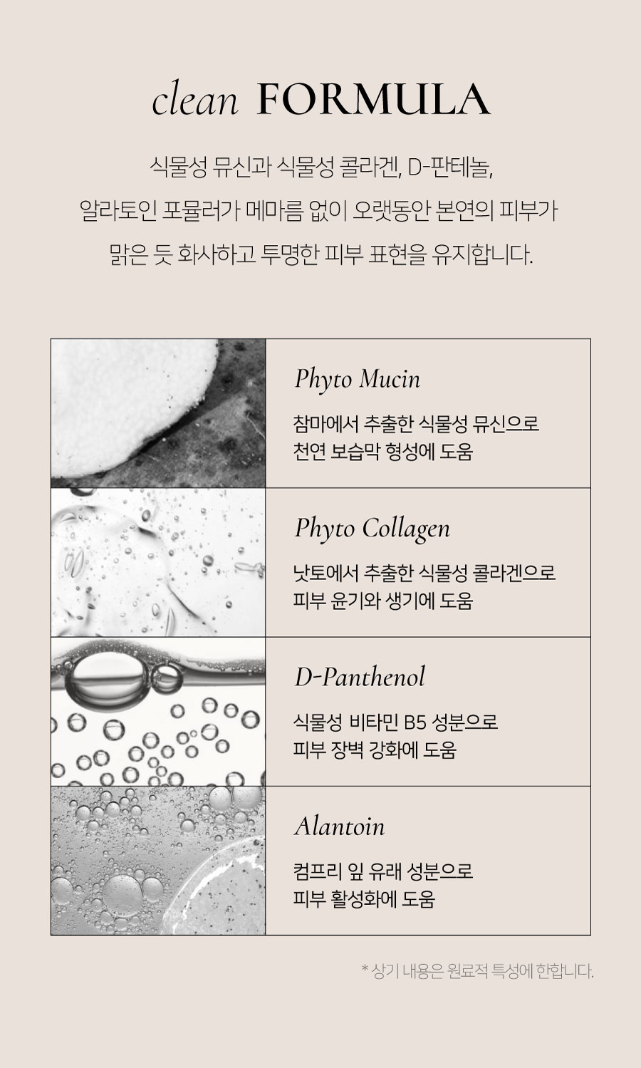딘토(DINTO) [운초] 블러피니쉬 쿠션 본품 2종(택1)
