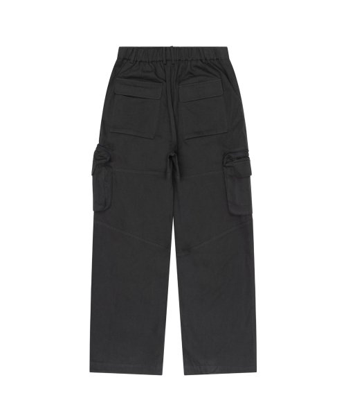 Zip Cargo Pocket Pants (Dark Gray)
