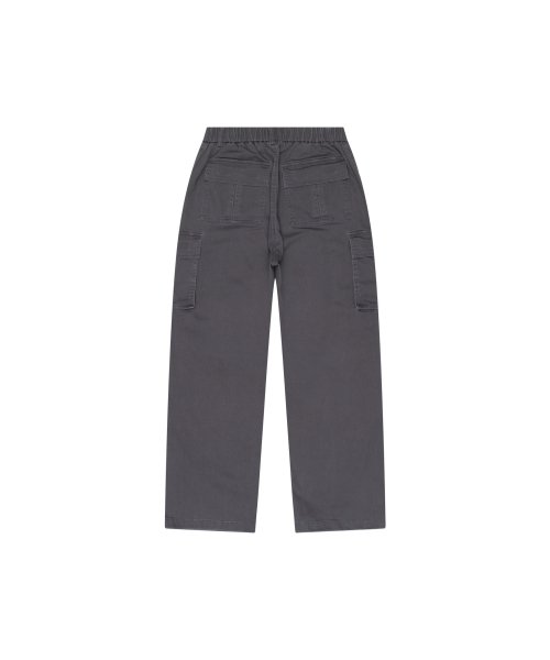 Washed Semi Wide Cargo Pants (Gray)