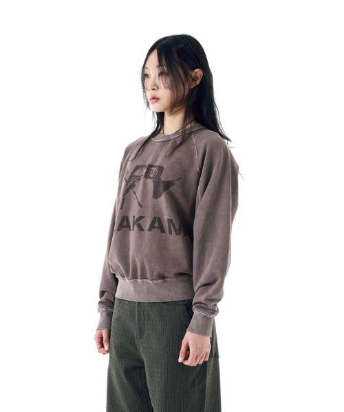 Flag Printed Sweatshirts (Brown)