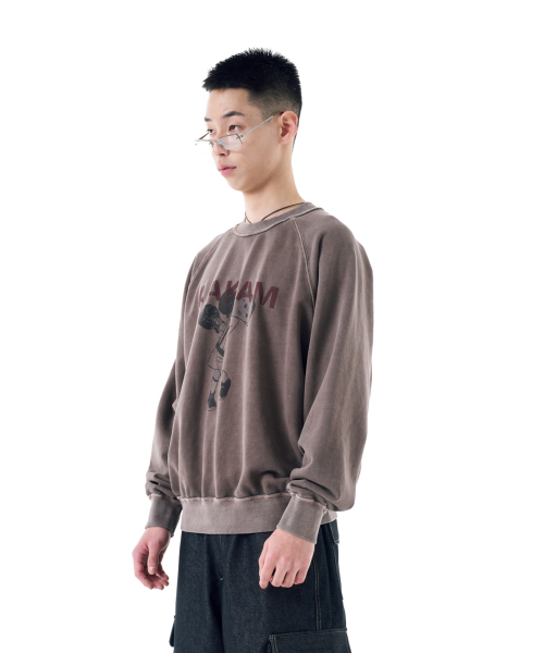 Punch Boy Printed Sweatshirts (Brown)