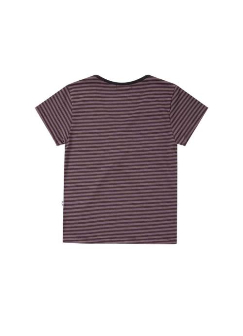 CANDY STRIPE T / PURPLE